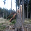 RBC Špitálský les, 12.1.2014, foto Vojtěch Kodet