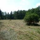 Rašeliniště Pod Trojanem [JI] - kosení