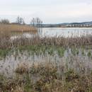 Nový rybník u Panské Lhoty, 16.4.2016, foto Vojtěch Kodet