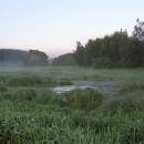 Bělokamenský mokřad, 14.6.2004, foto Vojtěch Kodet
