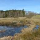 Mokřady Nad Chvojnovem, 3.3.2017, foto Vojtěch Kodet