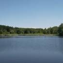 Doležalův rybník, 8.7.2010, foto Vojtěch Kodet