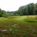 Rašeliniště Pod Trojanem, 28.8.2013, foto Vojtěch Kodet
