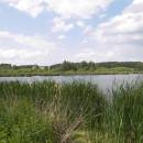 ryb. Maršovec, 4.6.2009, foto Vojtěch Kodet