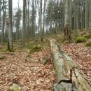 PP Čertův hrádek, 12.3.2015, foto Vojtěch Kodet