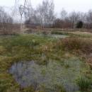 Pístovské mokřady, 14.1.2015, foto Vojtěch Kodet