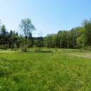 PR Rašeliniště Loučky, 20.5.2014, foto Vojtěch Kodet