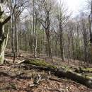 Spálava, 19.4.2016, foto Vojtěch Kodet