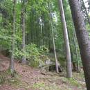 V Jelení, 18.7.2012, foto Vojtěch Kodet