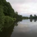 ryb. Dolní Bradlo, 1.7.2012, foto Vojtěch Kodet