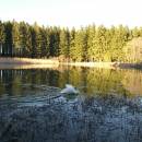 Popický rybník, 24.4.2012, foto Vojtěch Kodet