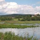 Velký Klátův rybník, 16.6.2009, foto Vojtěch Kodet