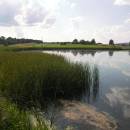 Starý ryb., PP Ptáčovské rybníky, 16.7.2009, foto Vojtěch Kodet