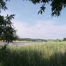 ryb. Židloch, PP Ptáčovské rybníky, 6.6.2011, foto Vojtěch Kodet