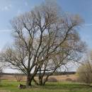 Na Dolňáku, 25.4.2006, foto Vojtěch Kodet