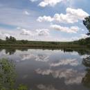 ryb. Dolní Bradlo, 7.6.2012, foto Vojtěch Kodet