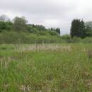 Třeštický rybník, 15.5.2010, foto Vojtěch Kodet