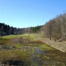Starohorský mokřad, 26.3.2017, foto Vojtěch Kodet