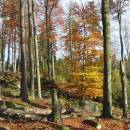 PP Mrhatina, 29.10.2004, foto Vojtěch Kodet