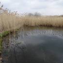 Křivoláč, 25.3.2016, foto Vojtěch Kodet