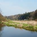 Starohorský mokřad, 19.4.2014, foto Vojtěch Kodet