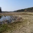 PP Černíč, 28.3.2016, foto Vojtěch Kodet