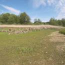 Rychtářský rybník, 17.5.2012, foto Vojtěch Kodet