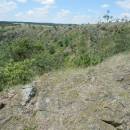 NPR Mohelenská hadcová step, 13.6.2014, foto Vojtěch Kodet