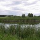 Nový Častotický rybník, 8.6.2009, foto Vojtěch Kodet
