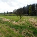 Starohorský mokřad, 2.5.2015, foto Vojtěch Kodet