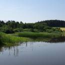 ryb. Broum, 7.7.2015, foto Vojtěch Kodet