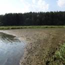 PP Černíč, 8.8.2015, foto Vojtěch Kodet