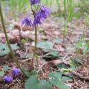 PP Lukšovská, 3.5.2012, foto Vojtěch Kodet