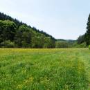 PR Údolí Brtnice, 22.5.2014, foto Vojtěch Kodet