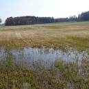 ryb. Smíchov, 28.3.2016, foto Vojtěch Kodet
