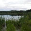 Olešský rybník, 7.7.2009, foto Vojtěch Kodet