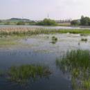 PP Starý Přísecký rybník, 24.4.2009, foto Vojtěch Kodet