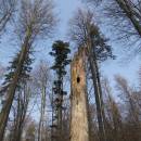 NPR Velký Špičák, 24.3.2012, foto Vojtěch Kodet