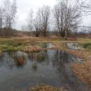Pístovské mokřady, 14.1.2015, foto Vojtěch Kodet