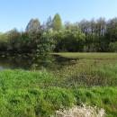 PR Vílanecké rašeliniště, 7.5.2016, foto Vojtěch Kodet