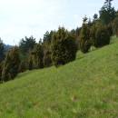 NPP Švařec, 5.5.2016, foto Karel Tajovský