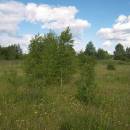 Vílanecká střelnice, 2.7.2011, foto Vojtěch Kodet