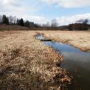 Třeštický rybník, 4.4.2015, foto Vojtěch Kodet