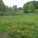 Pod Čertovým kamenem, 23.5.2010, foto Vojtěch Kodet