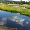 Mokřady Nad Chvojnovem [JI]