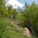 PR Údolí Oslavy a Chvojnice, 25.4.2011, foto Vojtěch Kodet