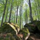 PP Vysoký kámen u Smrčné, 3.5.2006, foto Vojtěch Kodet
