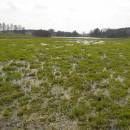 Velký Klátův rybník, 23.4.2010, foto Vojtěch Kodet