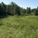 Pod Čertovým kamenem, 9.7.2010, foto Vojtěch Kodet