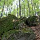 PP Vysoký kámen u Smrčné, 3.5.2006, foto Vojtěch Kodet